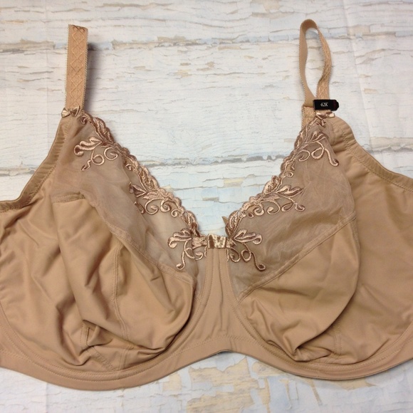 1st & Curve Melrose Full-Figure Cut-n-Sewn Bra - Picture 1 of 3